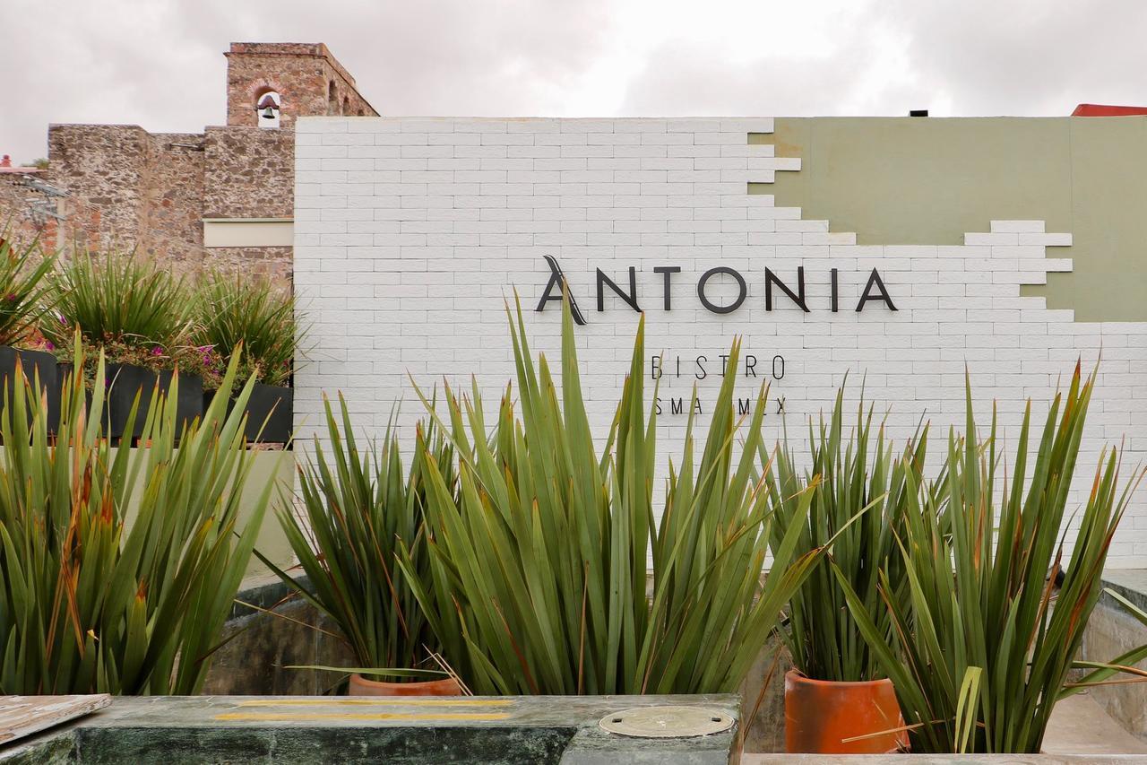 Hotel Boutique El Palomar San Miguel de Allende Exteriör bild